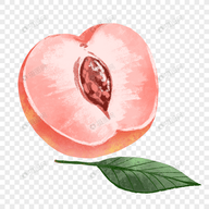 WWW,261se·COM网站APPAPP应用