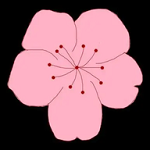 WWW,ooo51·COM网站APP最新版