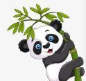 ✱色虎最新版官方版APP应用